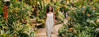 Do Plant-Based Mood Tablets Actually Work?