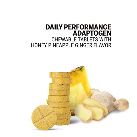 500mg Ashwagandha, Astragalus, Rhodiola, Panax, Amla Tablets - Pineapple Ginger - Thumbnail 4