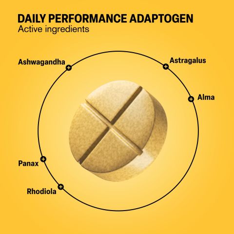 500mg Ashwagandha, Astragalus, Rhodiola, Panax, Amla Tablets - Pineapple Ginger - Thumbnail 5