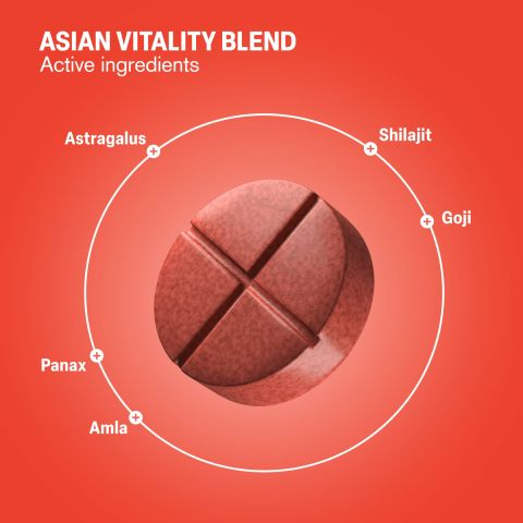 500mg Astragalus, Shilajit, Panax, Amla, Goji Tablets - Goji Lemonade - Thumbnail 5