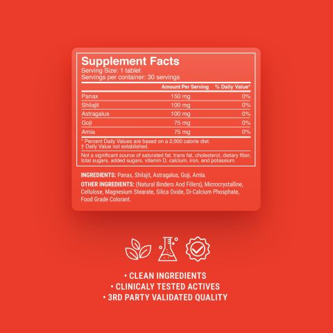 500mg Astragalus, Shilajit, Panax, Amla, Goji Tablets - Goji Lemonade - Thumbnail 9