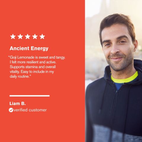 500mg Astragalus, Shilajit, Panax, Amla, Goji Tablets - Goji Lemonade - Thumbnail 7