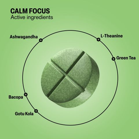 500mg Ashwagandha, L-Theanine, Green Tea, Gotu Kola, Bacopa Tablets - Matcha Citrus - Thumbnail 5