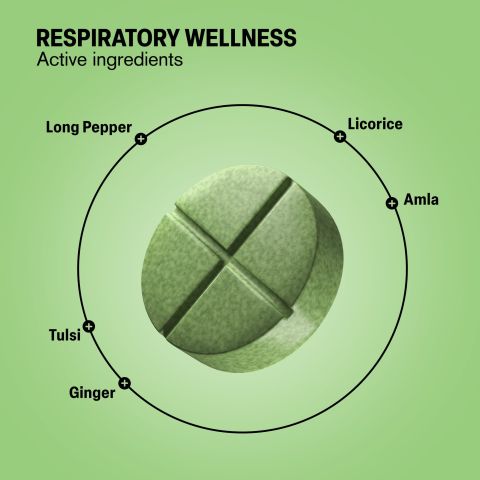 500mg Respiratory Wellness - Honey Mint - Thumbnail 5
