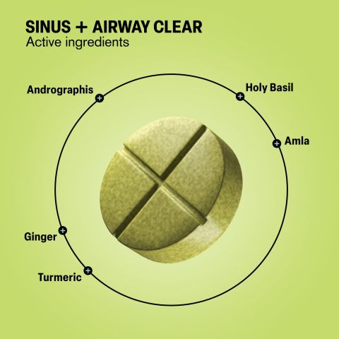 500mg Andrographis, Holy Basil, Turmeric, Ginger, Amla Tablets - Lemon Eucalyptus - Thumbnail 5
