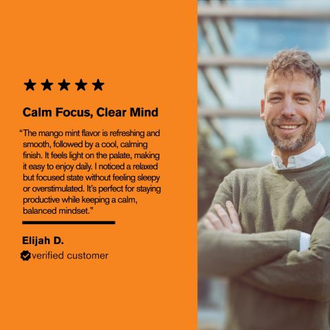 500mg Ashwagandha, L-Theanine, Bacopa, Amla, Gotu Tablets - Mango Mint - Thumbnail 7