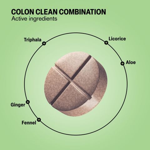 500mg Triphala, Licorice, Ginger, Fennel, Aloe Tablets - Peppermint Vanilla - Thumbnail 5