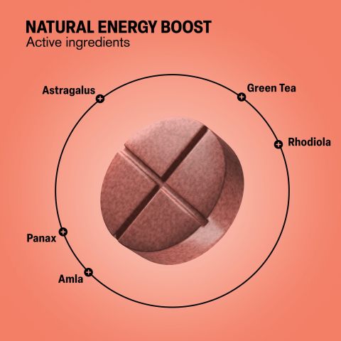 500mg Astragalus, Green Tea, Rhodiola, Panax, Amla Tablets - Citrus Ginger - Thumbnail 5