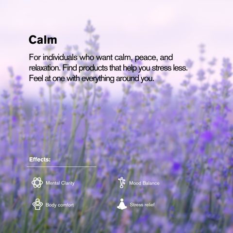 50mg L-Theanine, L-THP, Ashwagandha Tablets - Peach Citrus - Thumbnail 7